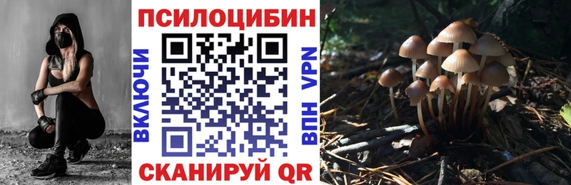 Купить где  Михайловка  Галлюциногенные грибы Magic Shrooms 